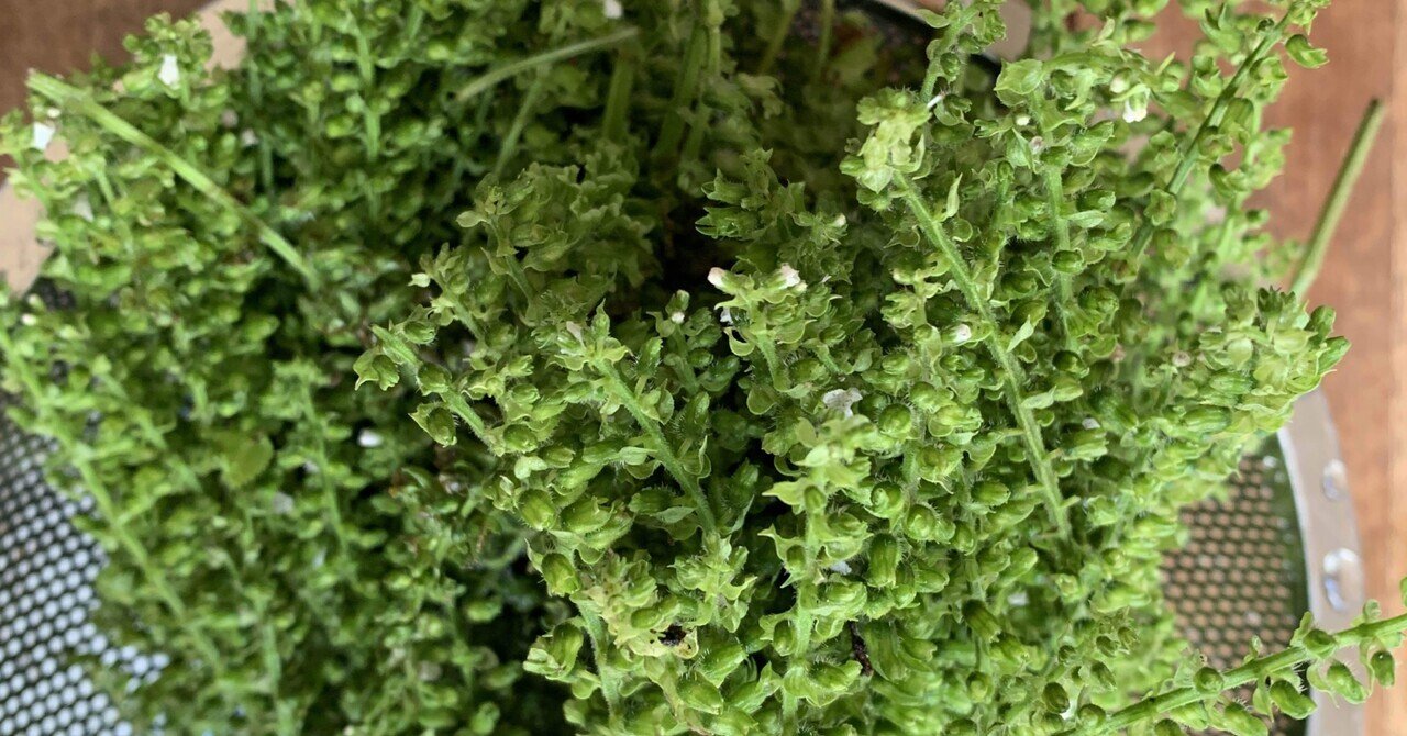 しその実レシピ の新着タグ記事一覧 Note つくる つながる とどける しその実レシピ の新着タグ記事一覧 Note つくる つながる とどける