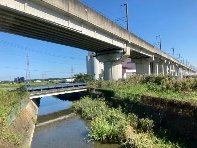画像8