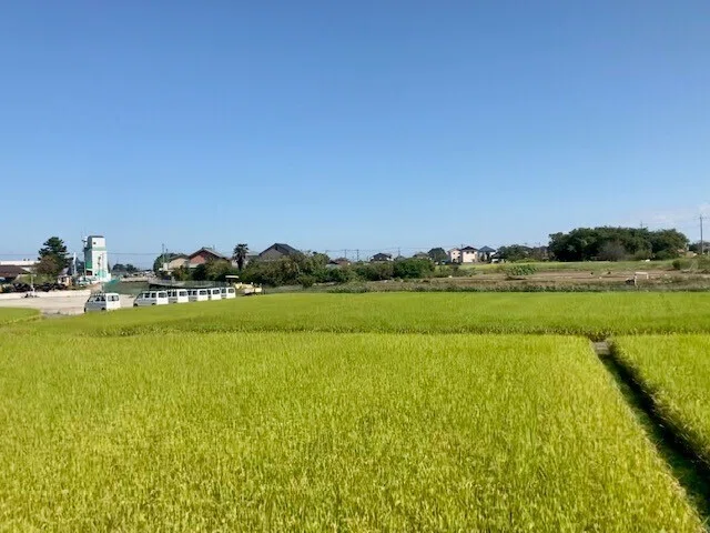 画像11