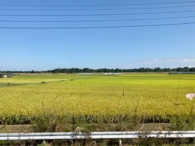 画像12
