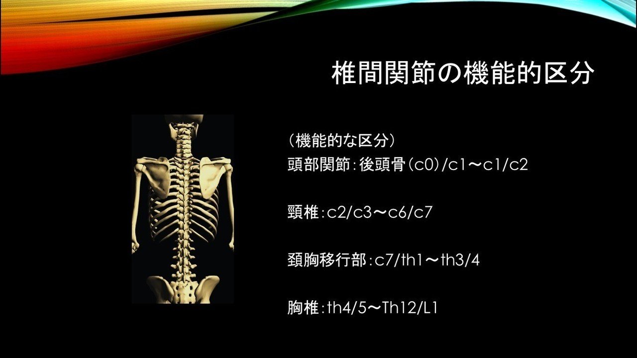 高齢者からスポーツ選手まで！】リハビリであまり診られていない
