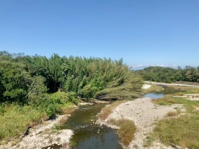画像14