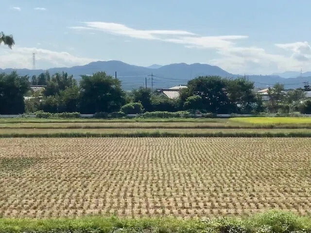 画像16