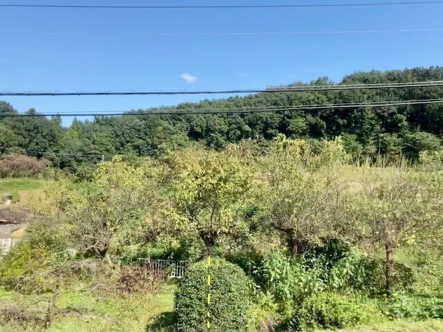 画像32