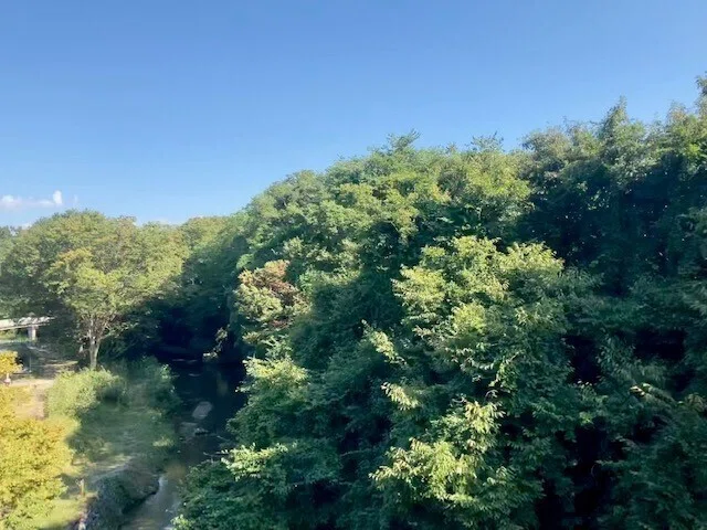 画像39