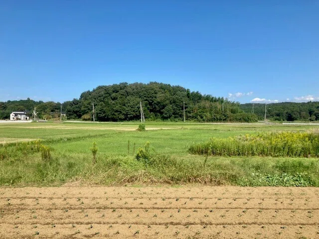画像43