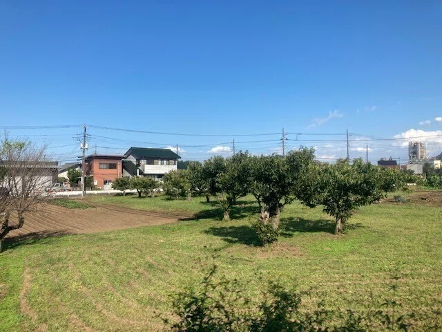画像51