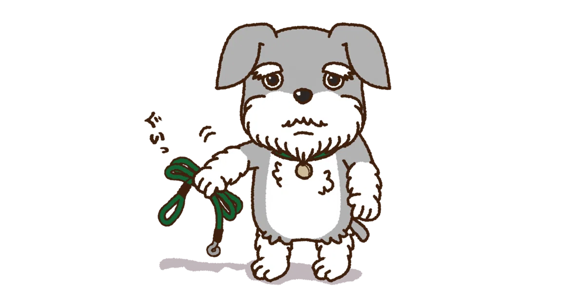 シュナウザポムン_さんぽなし