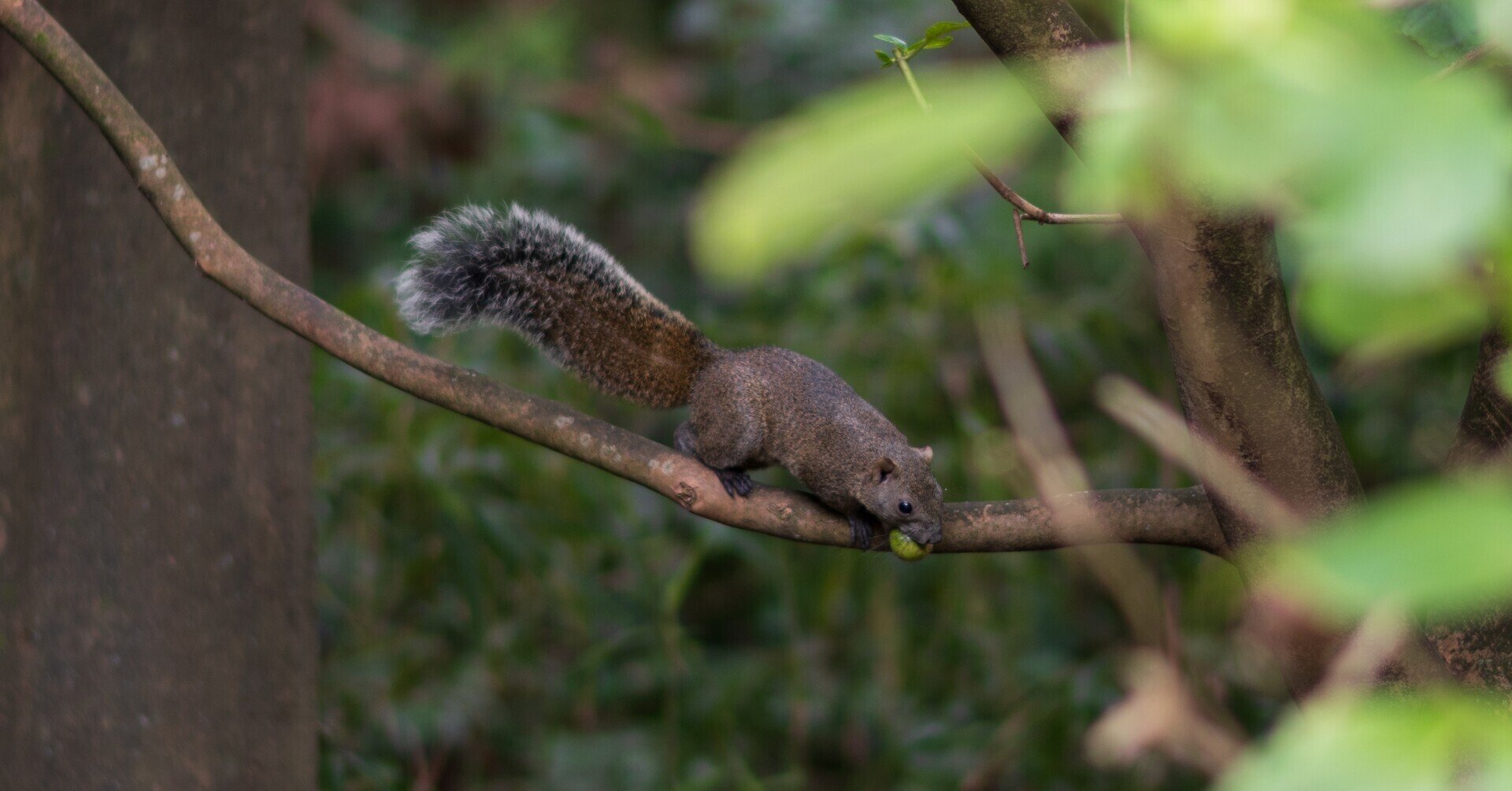 三次元的ハイファイAF-S NIKKOR 58mm f/1.4Gを買い戻したので聞いて