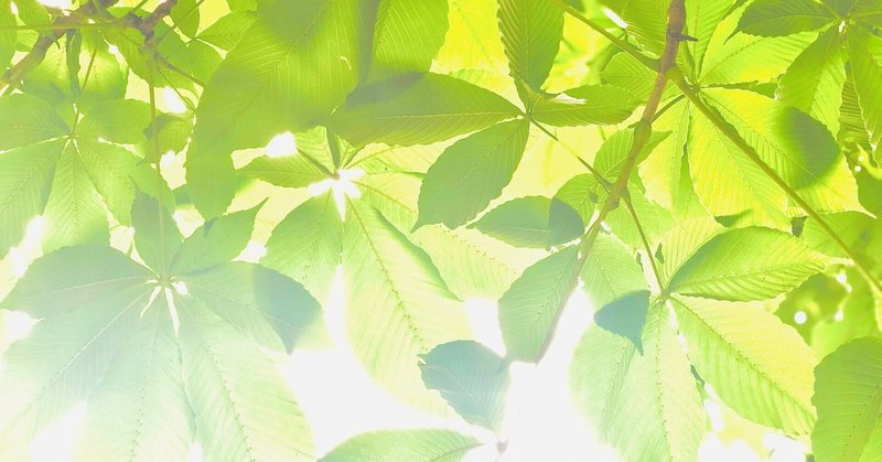 モチモチの木 の新着タグ記事一覧 Note つくる つながる とどける モチモチの木 の新着タグ記事一覧 Note つくる つながる とどける