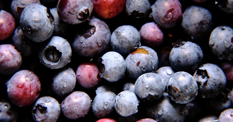 マイマイガ の新着タグ記事一覧 Note つくる つながる とどける