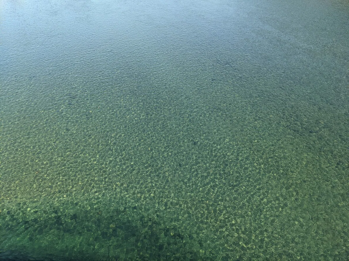 画像13