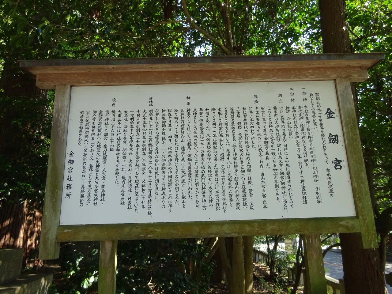 画像15