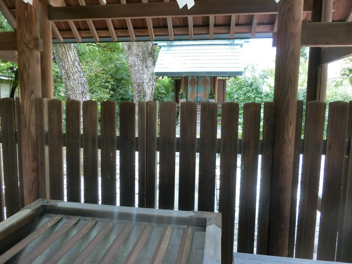 画像8