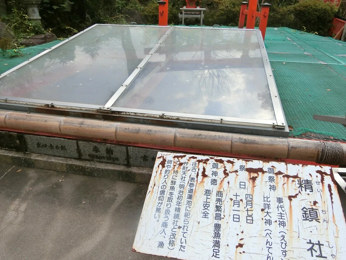 画像9