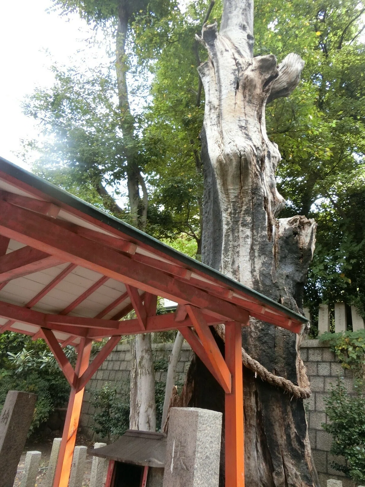 画像25