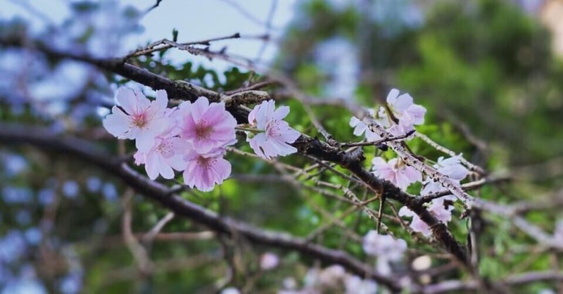 知ってるようで知らない世界に僕らは生まれた