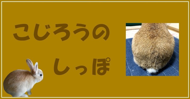 うさぎのしっぽ の新着タグ記事一覧 Note つくる つながる とどける