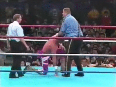 プロレス超人列伝第18回「ジェイク・ロバーツ」｜がちお