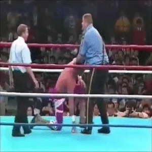 プロレス超人列伝第18回「ジェイク・ロバーツ」｜がちお