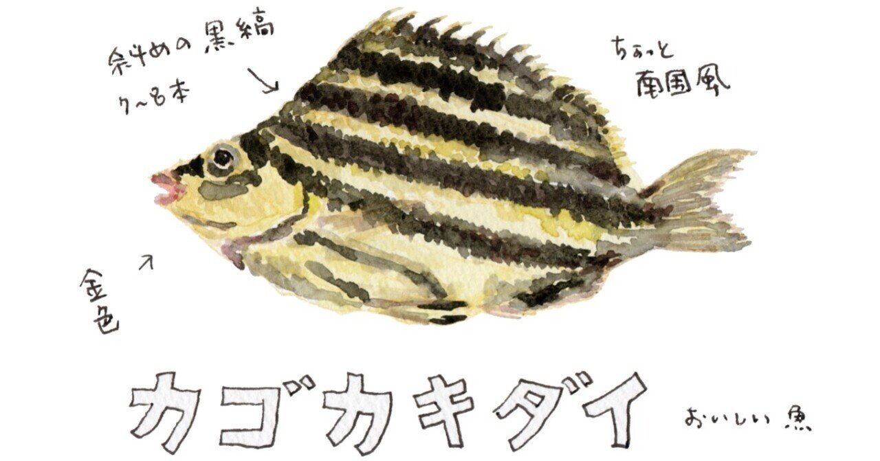 花木魚【35個まとめ】 花木魚【35個まとめ】 花木魚【35個まとめ】 花木魚【35個まとめ