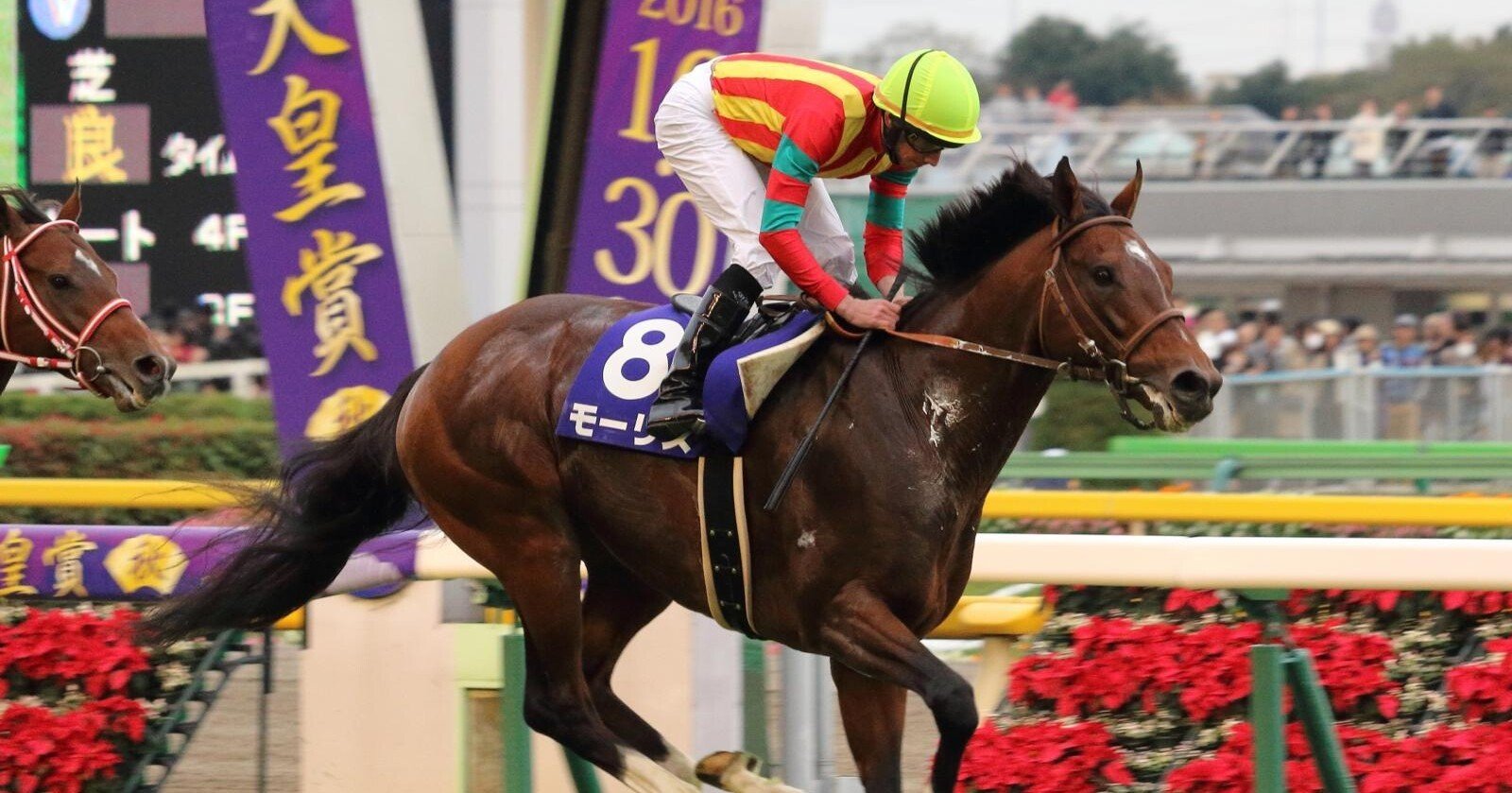 競馬 10分で読める ウマ娘に出てこない名馬列伝 マツウラ Note