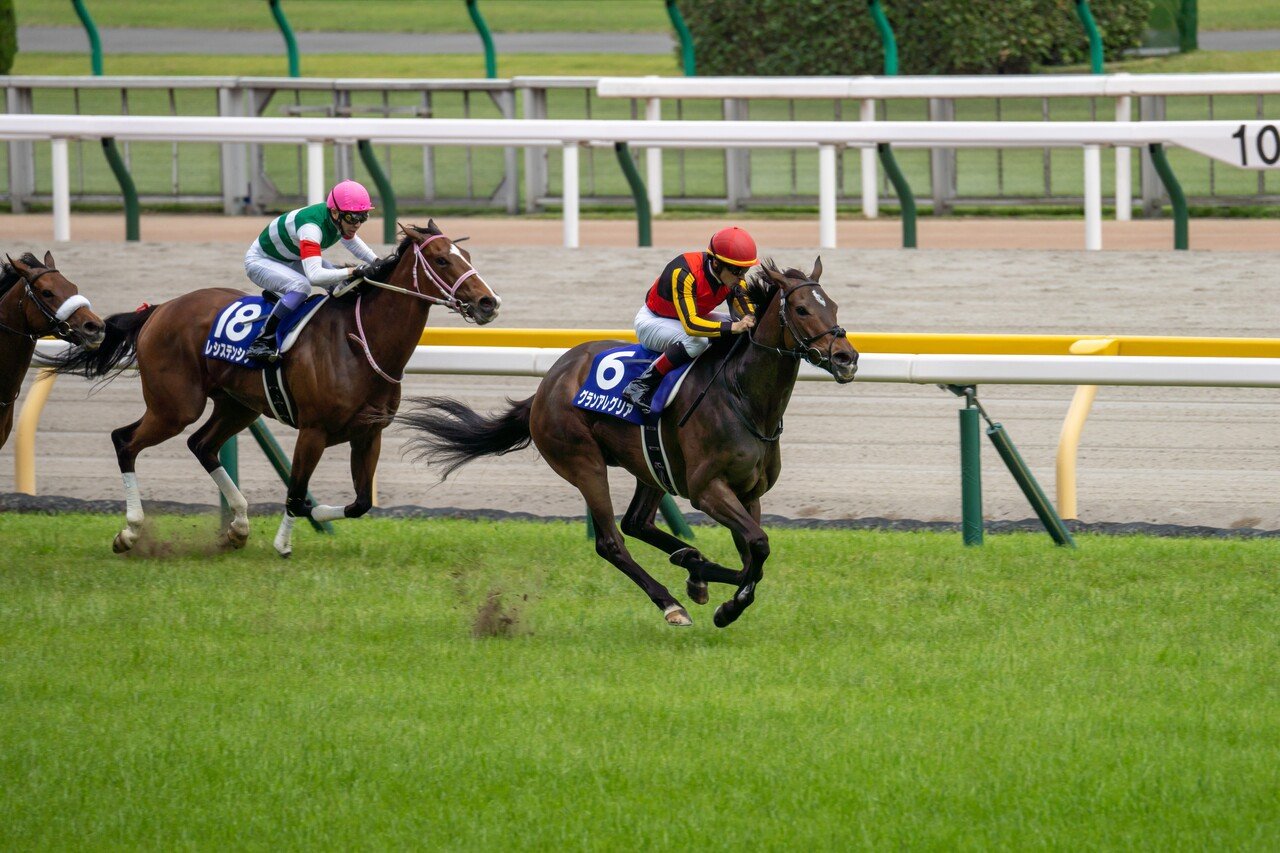 競馬を始めるなら今がチャンス 競馬場ではウマ娘たちの子孫がたくさん