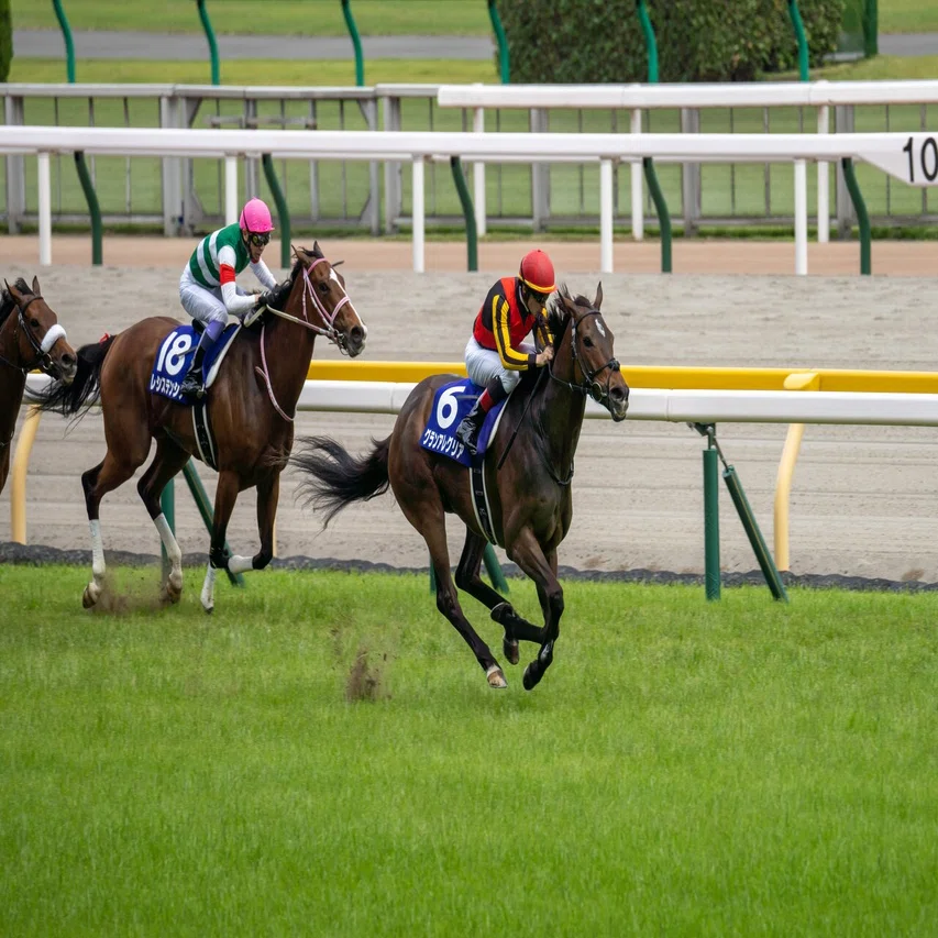 競馬を始めるなら今がチャンス 競馬場ではウマ娘たちの子孫がたくさん 