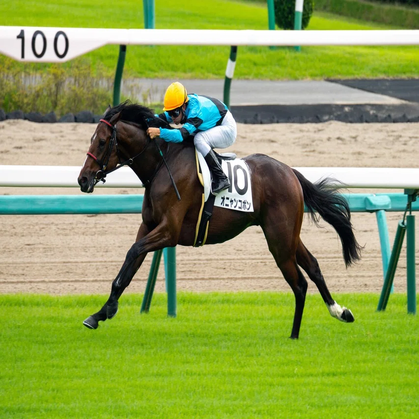 競馬を始めるなら今がチャンス 競馬場ではウマ娘たちの子孫がたくさん 