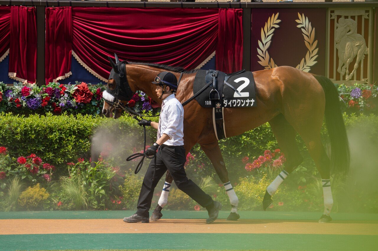 現地購入的中単勝馬券【2歳新馬戦（デビュー戦/初勝利）】スイープトウショウ 現地購入的中単勝馬券【2歳新馬戦（デビュー戦/初勝利