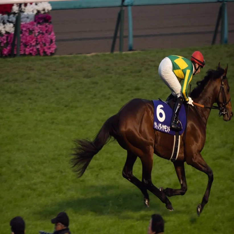 競馬を始めるなら今がチャンス 競馬場ではウマ娘たちの子孫がたくさん 