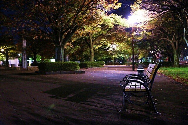 夜の公園_S