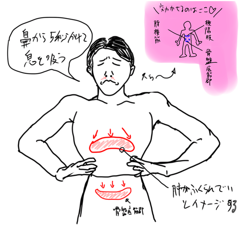 呼吸 息を吸う