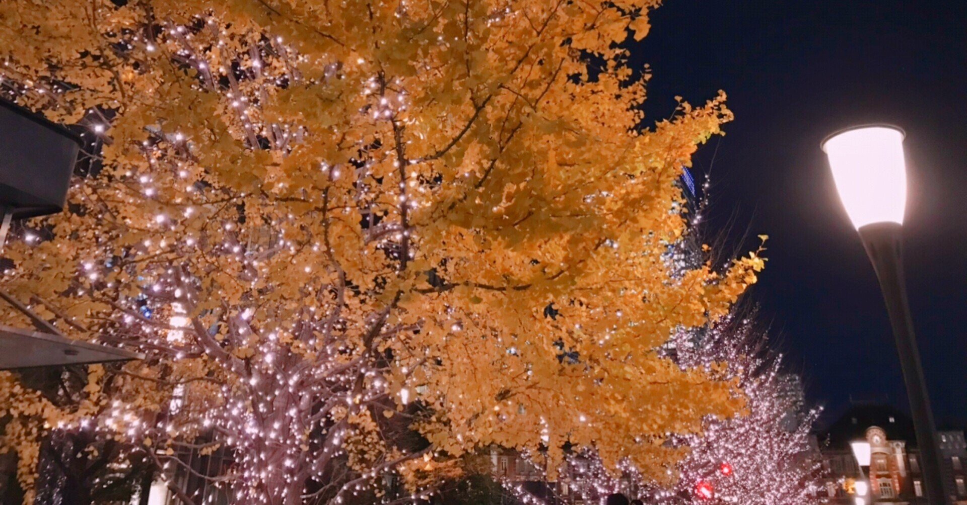 夢でもし逢えたら 貴方に逢えるまで眠り続けたい Norah Note