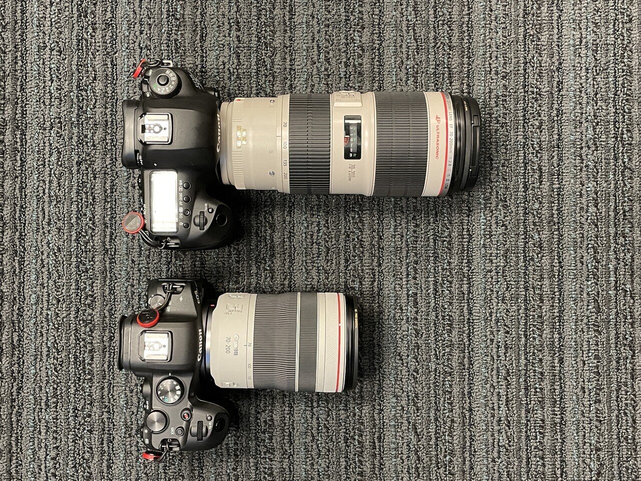 初RFレンズのRF 70-200 f/4L IS USMを導入|MOJA MOJA 初RFレンズのRF 70-200 f/4L IS USMを導入|MOJA MOJA