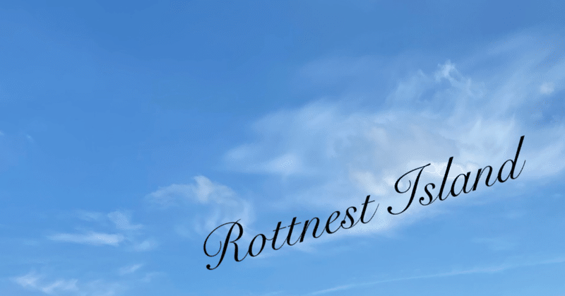 Rottnest Island紀行（ロットネスト島）