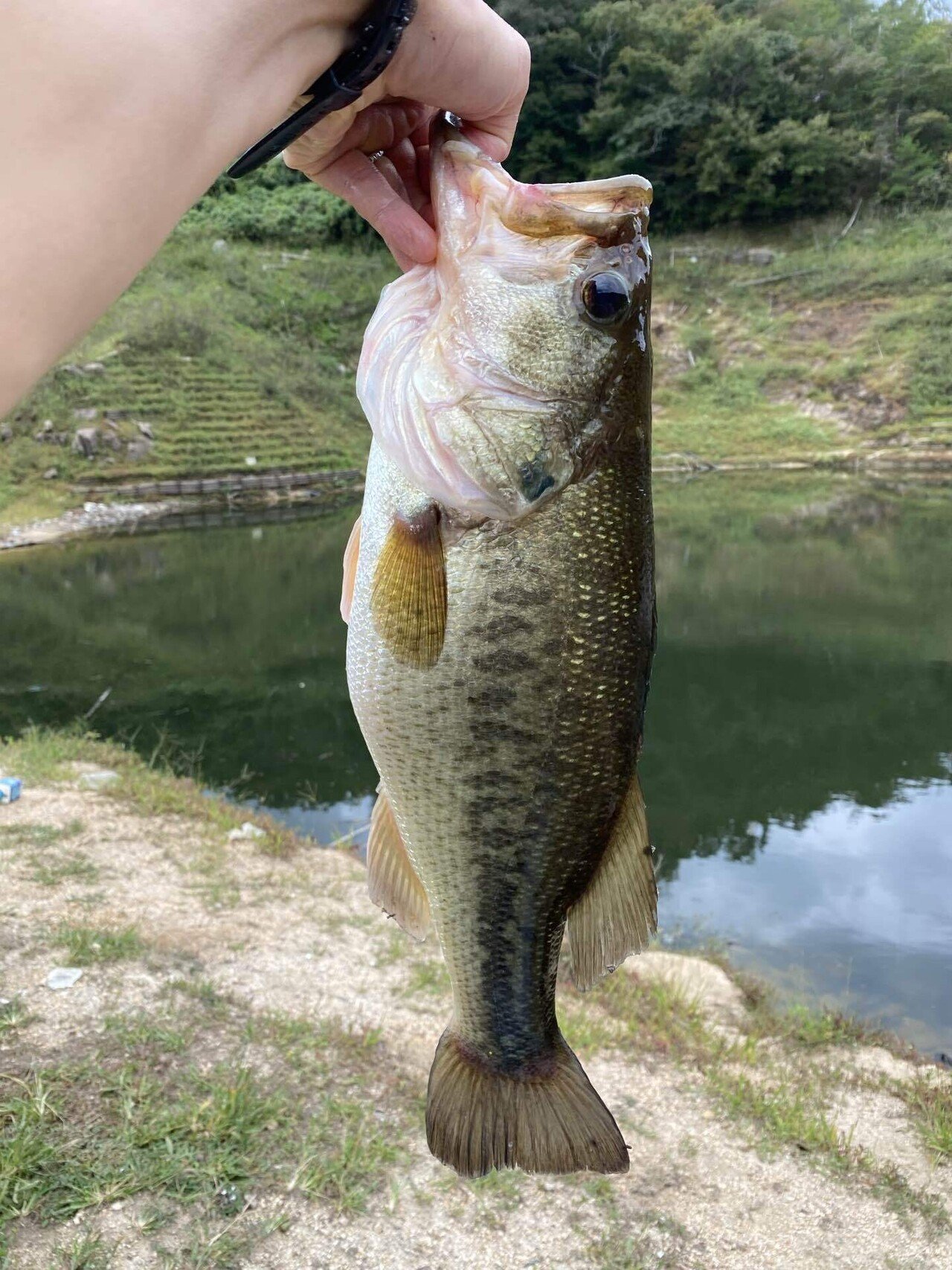 初の高山ダム釣行 Yutazombie ゆうたゾンビ Note 初の高山ダム釣行 Yutazombie ゆうたゾンビ Note