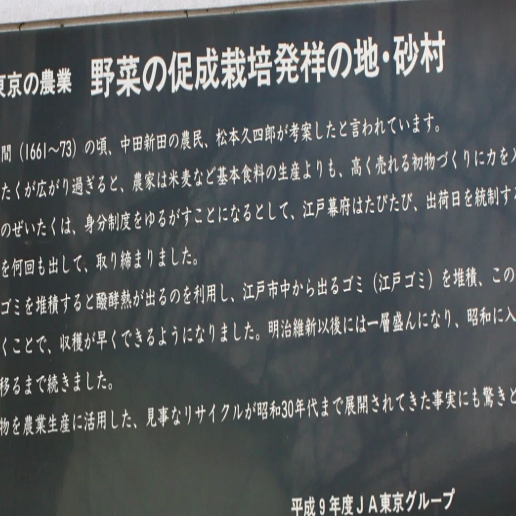 野菜の促成栽培発祥の地 砂村 歩いて 探して 歴史を発掘する黒田涼 Note