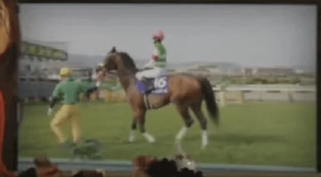 Codoc 秋華賞 オクトーバーステークス 信越ステークス21サイン予想記事 Jraのホームページの画像 Jraオリジナル壁紙 カレンダー10月 秋華賞のcmのサイン考察 コードク Codoc 秋華賞 オクトーバーステークス 信越ステークス21サイン予想記事 Jraのホームページの画像 Jraオリジナル壁紙 カレンダー10月 秋華賞のcmのサイン考察 コードク