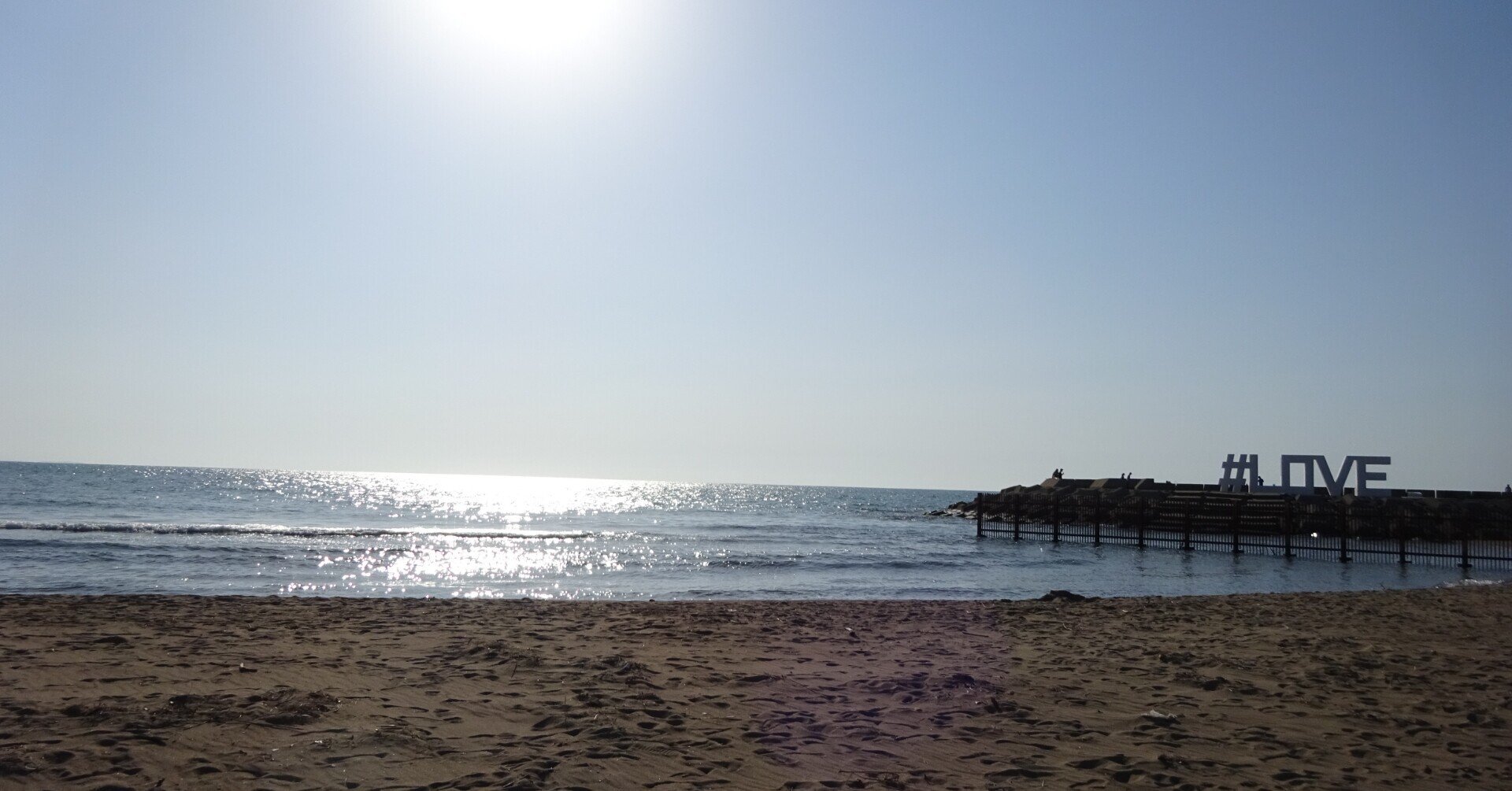 【感謝2000人フォロワー】⑧白中斑　アガべ　氷山　太陽神　TC2株 ♯60 写真日記】白山の女神さまに会いに加賀国へ➂ 海へとつづく道～徳光