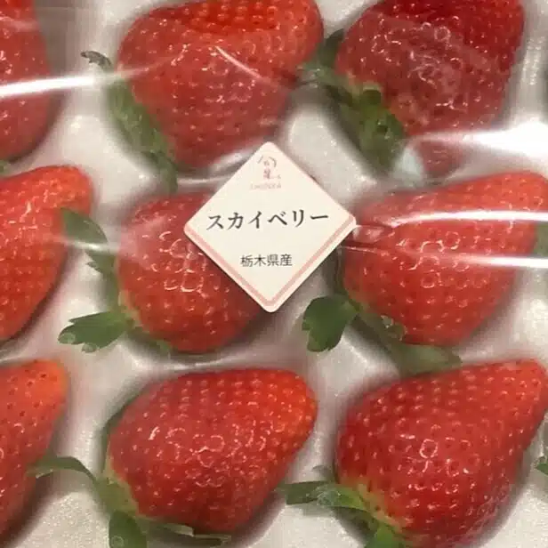 おりちゃ