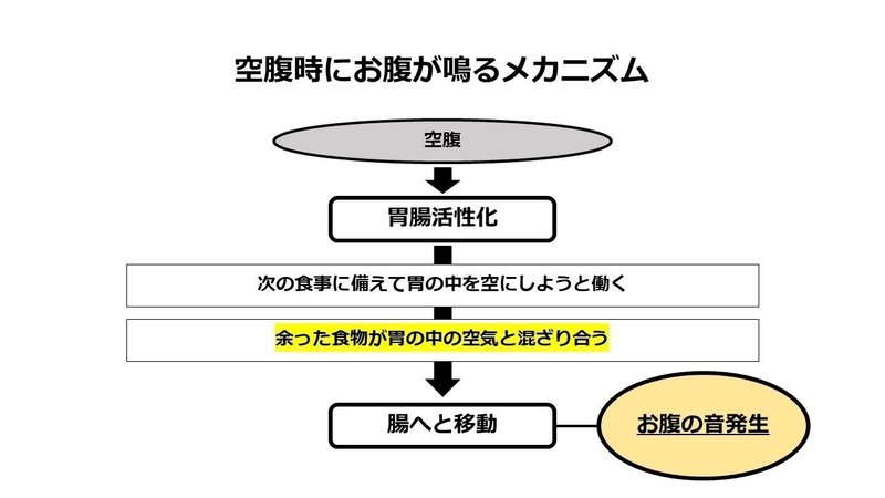 なぜ お腹 が 鳴る