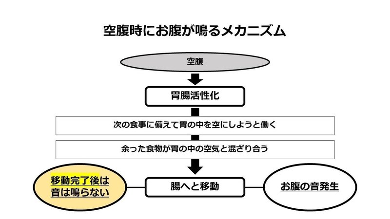 お腹が鳴る理由と予防法について 健康をマネジメントするノート Note