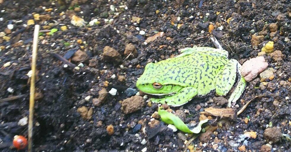 4f63b19500945efdd9a8d87b4c3833