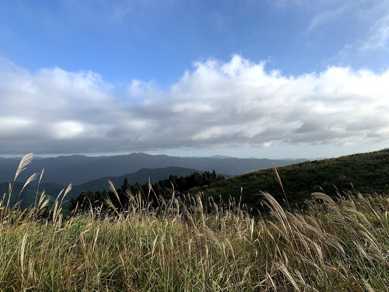 今日の風景 今日紹介するのは 生石高原です ここは和歌山県海草郡紀美野町にあります 車で行く場所ですが 山を登った先にあり 有名なのはススキです この秋の時期はススキが見頃で また山の上なので景 Youngyum Note