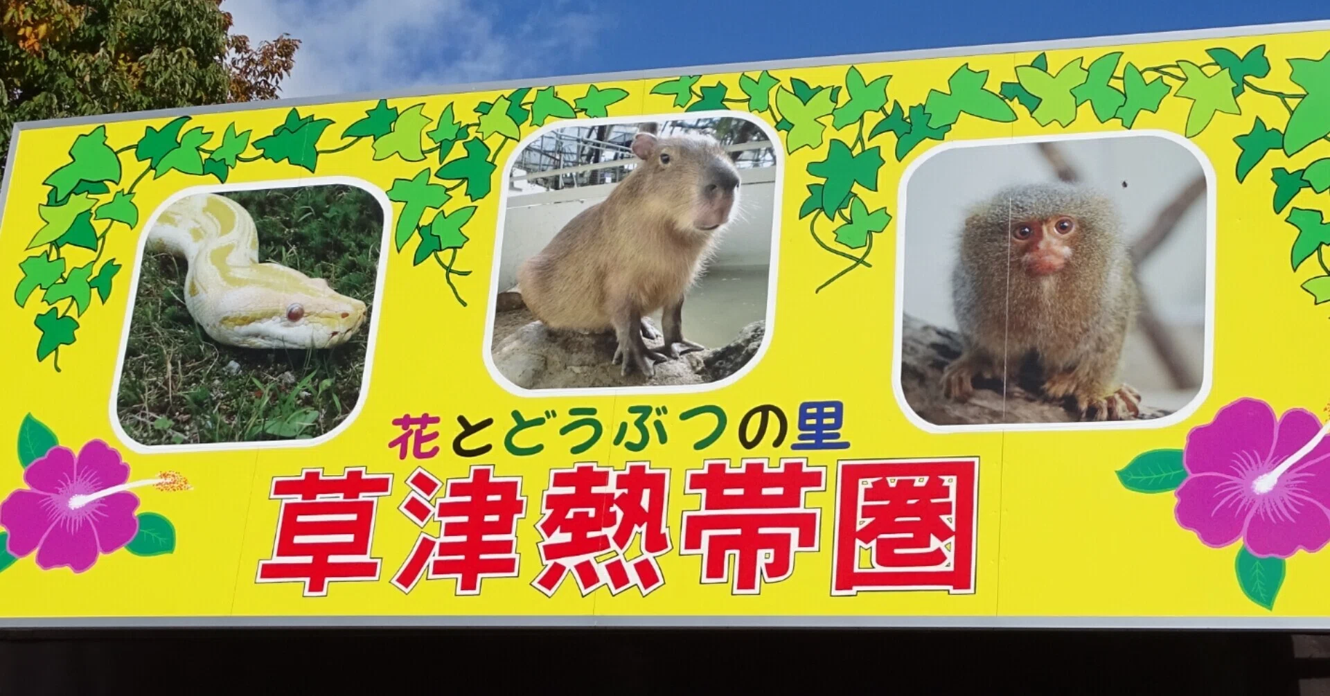 ZASO:075】群馬県 #草津熱帯圏｜ZASOちゃんねる