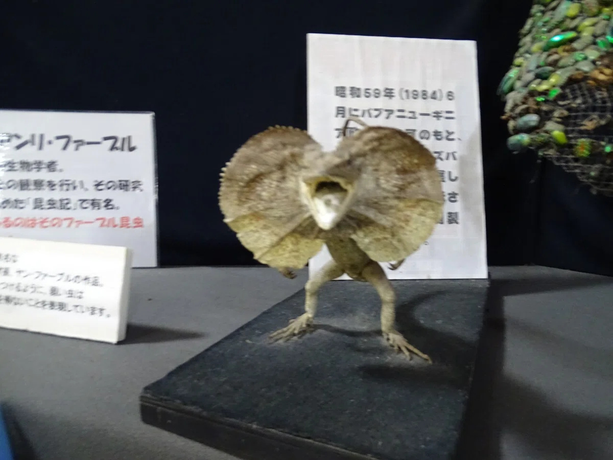 画像19
