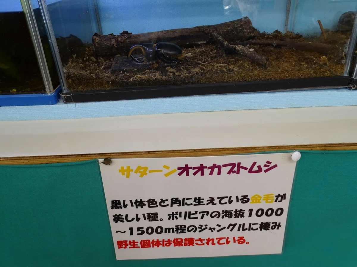 画像12
