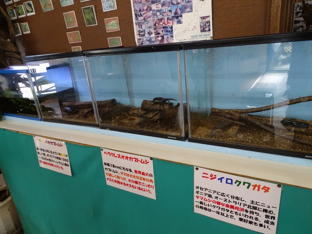 画像10