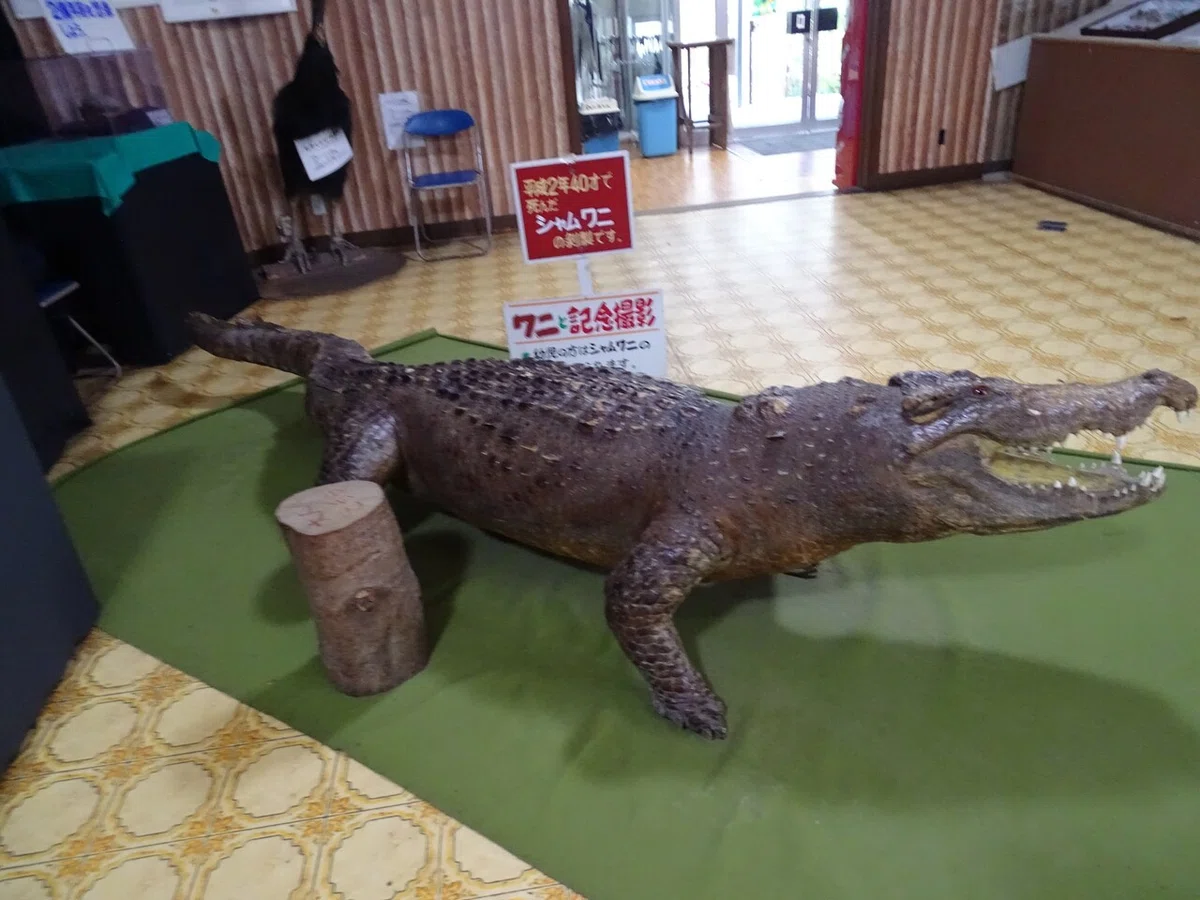 画像18
